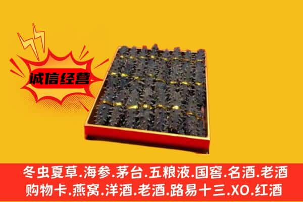 东乌珠穆沁旗回收海参